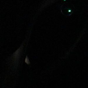 Meet your Posher, Rena